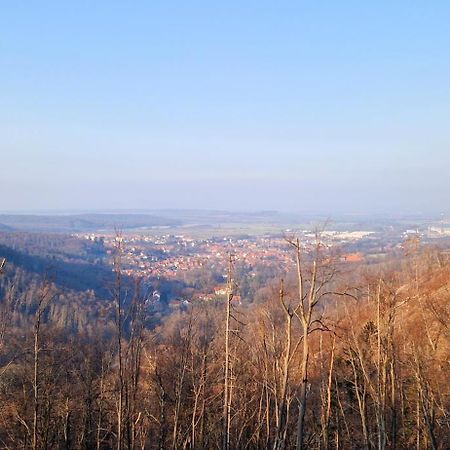 Ferienwohnung Schwarzer Hirsch Wieda Esterno foto