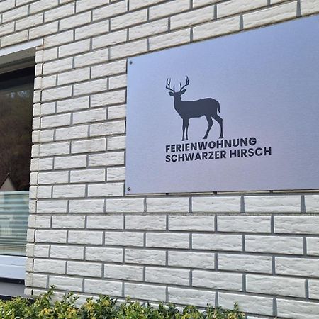 Ferienwohnung Schwarzer Hirsch Wieda Esterno foto