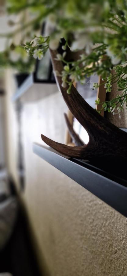 Ferienwohnung Schwarzer Hirsch Wieda Esterno foto