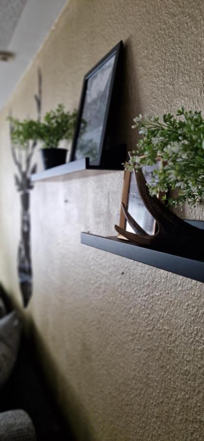 Ferienwohnung Schwarzer Hirsch Wieda Esterno foto