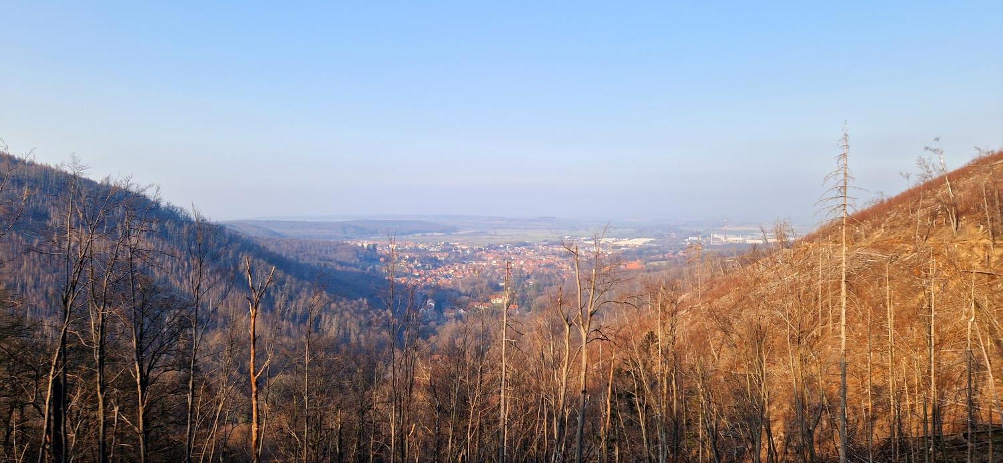 Ferienwohnung Schwarzer Hirsch Wieda Esterno foto