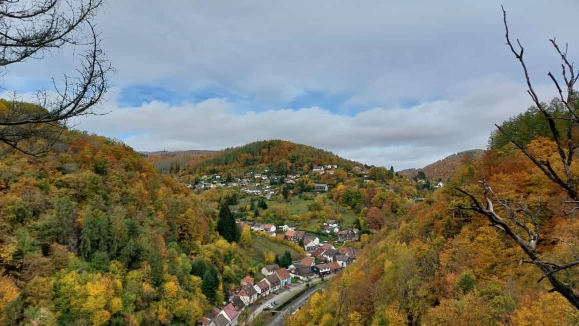 Ferienwohnung Schwarzer Hirsch Wieda Esterno foto