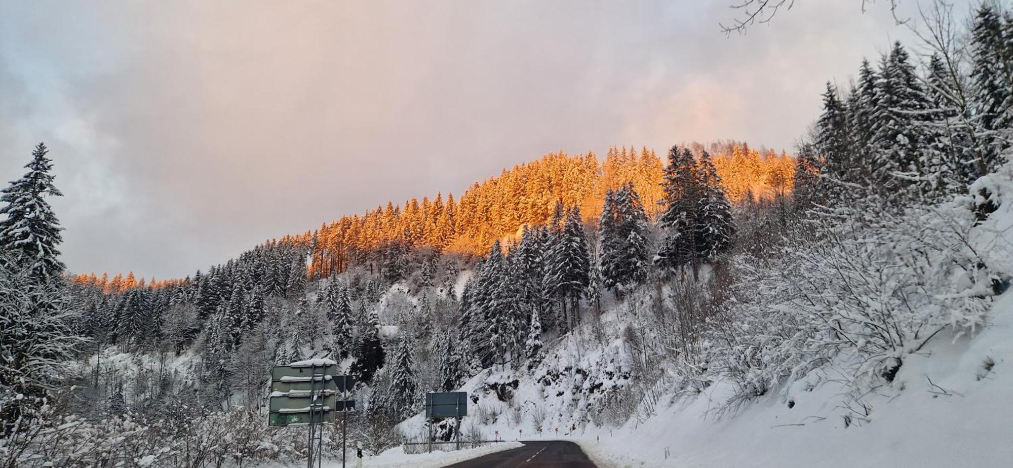 Ferienwohnung Schwarzer Hirsch Wieda Esterno foto